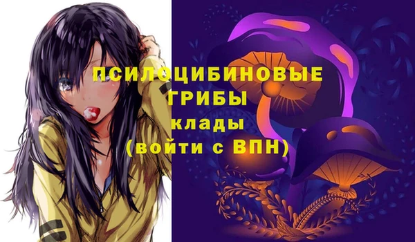 PSILOCYBIN Абдулино