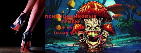 PSILOCYBIN Абдулино